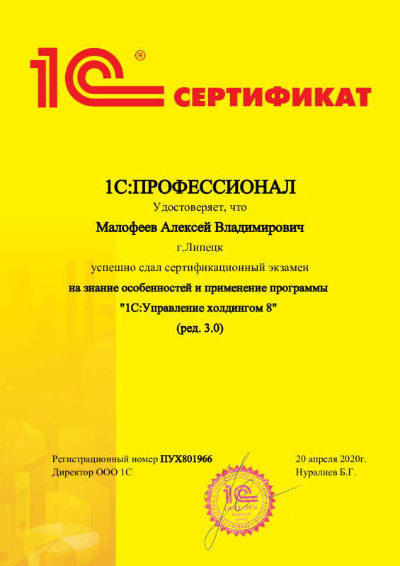 1С:Профессионал. Управление холдингом 8 (ред. 3.0)